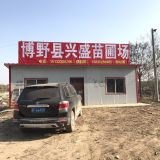 '河北兴盛种苗科技有限公司'头像