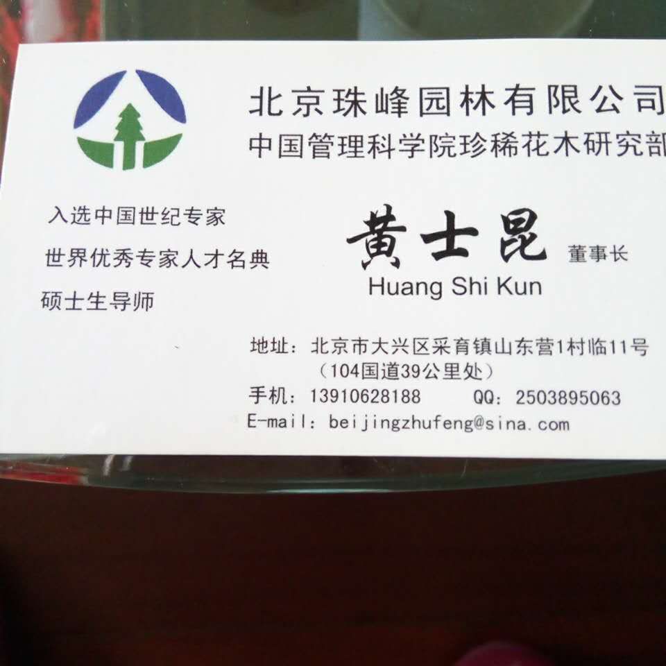 '二'头像