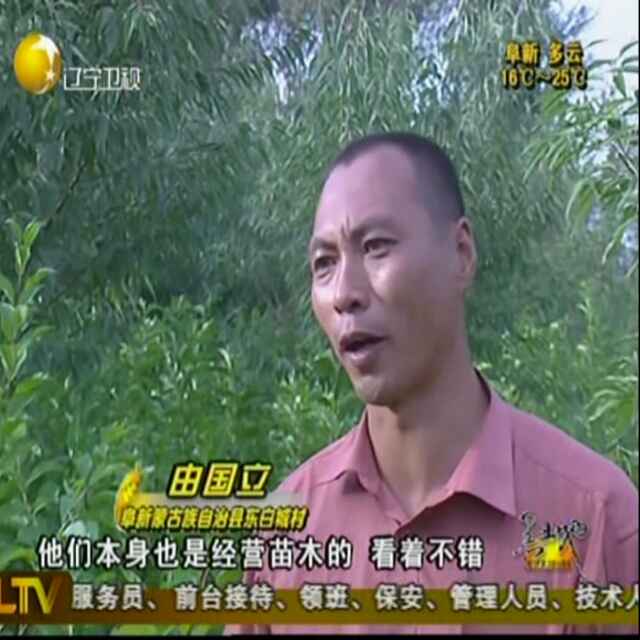 '辽宁阜新水文苗木由国立'头像