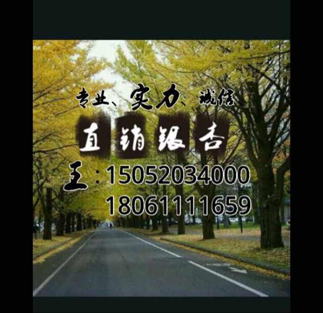'江苏邳州嘉琳银杏苗木'头像
