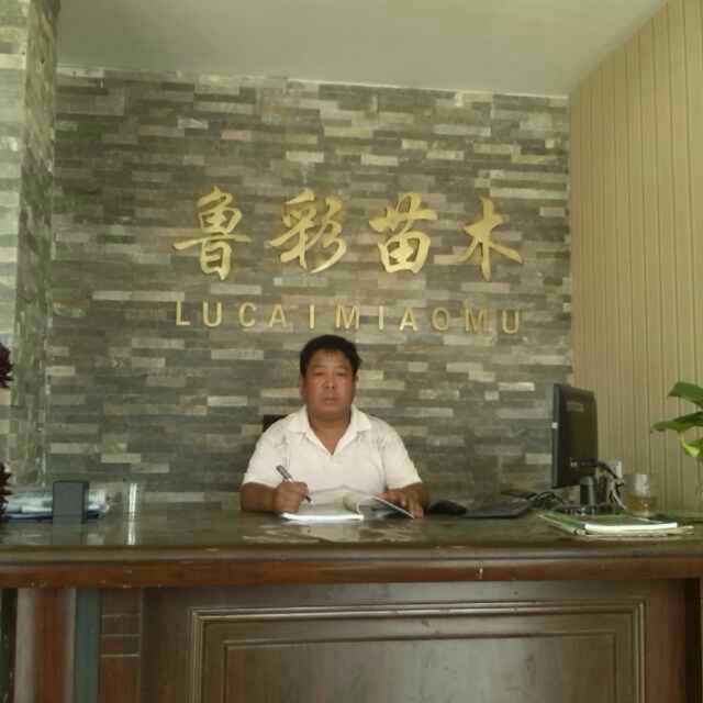 '菏泽鲁彩苗木有限公司'头像