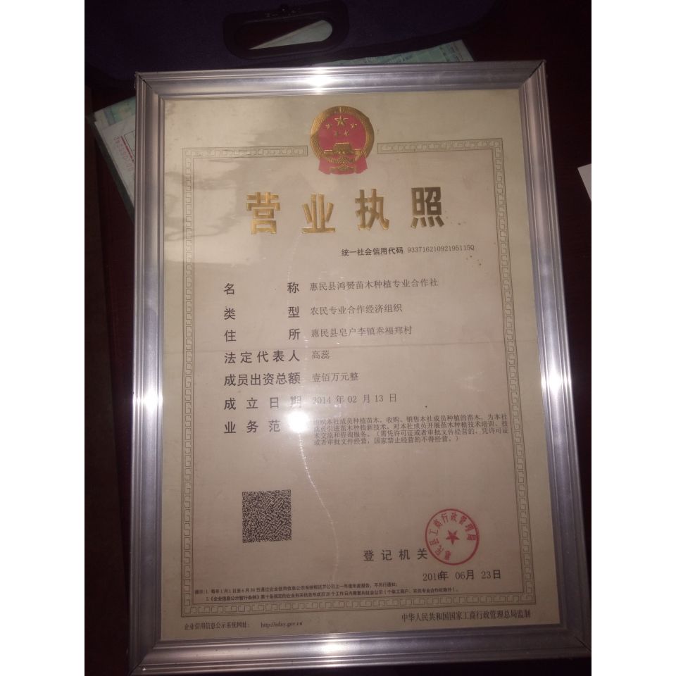 '山东省滨州市惠民县鸿赟苗木专业合作社'头像