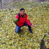 '河北古桥园林绿化有限公司'头像