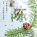 '山西丁陶苗木'头像
