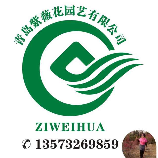 '青岛胶州耿萍'头像