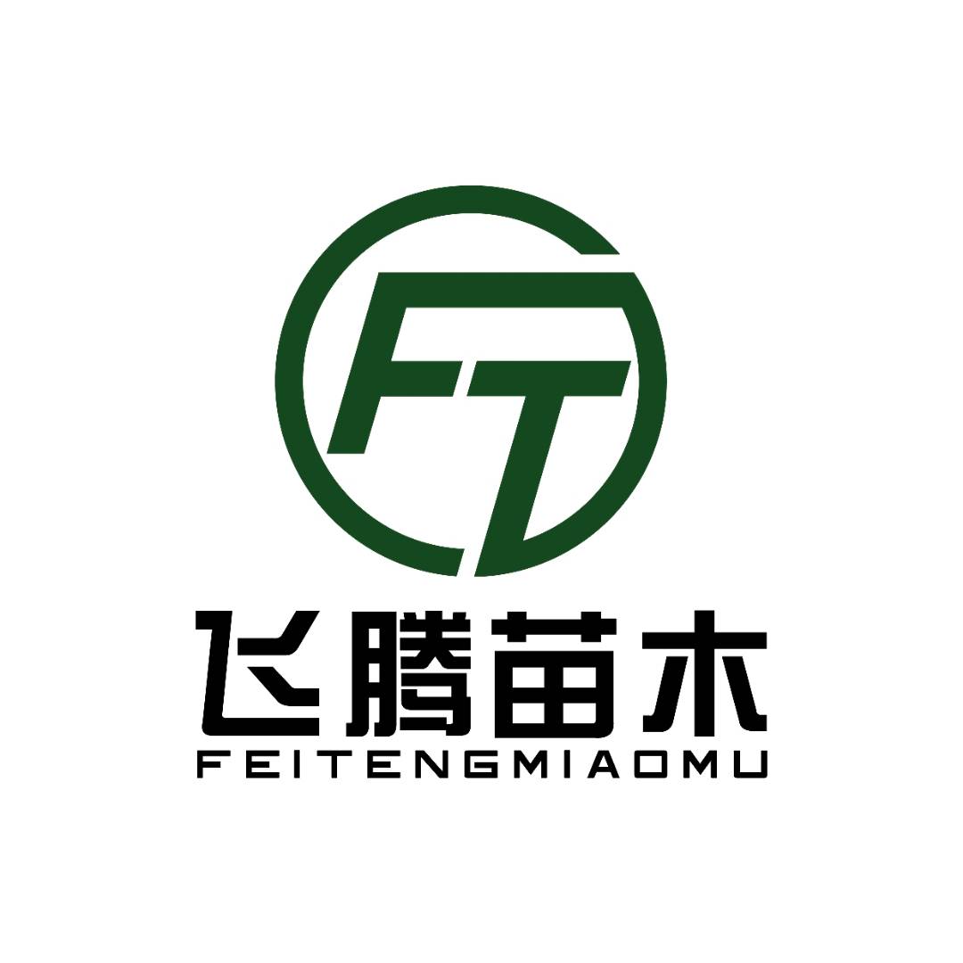'河南南阳飞腾苗木常辉'头像