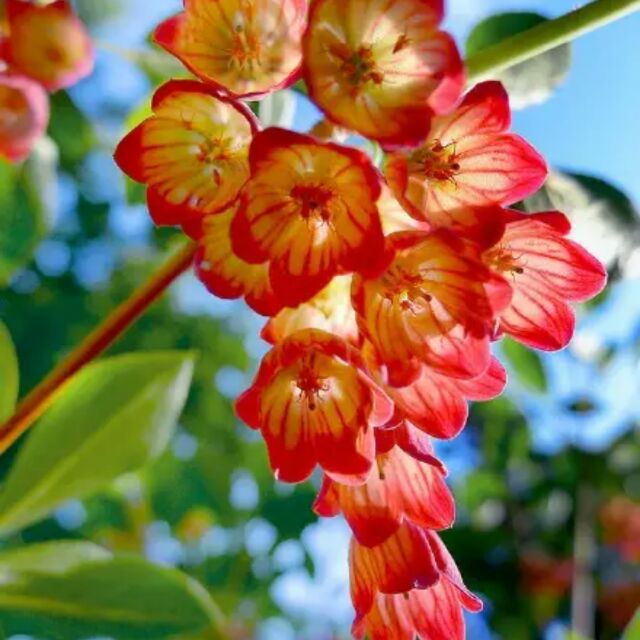 '王会芹'头像