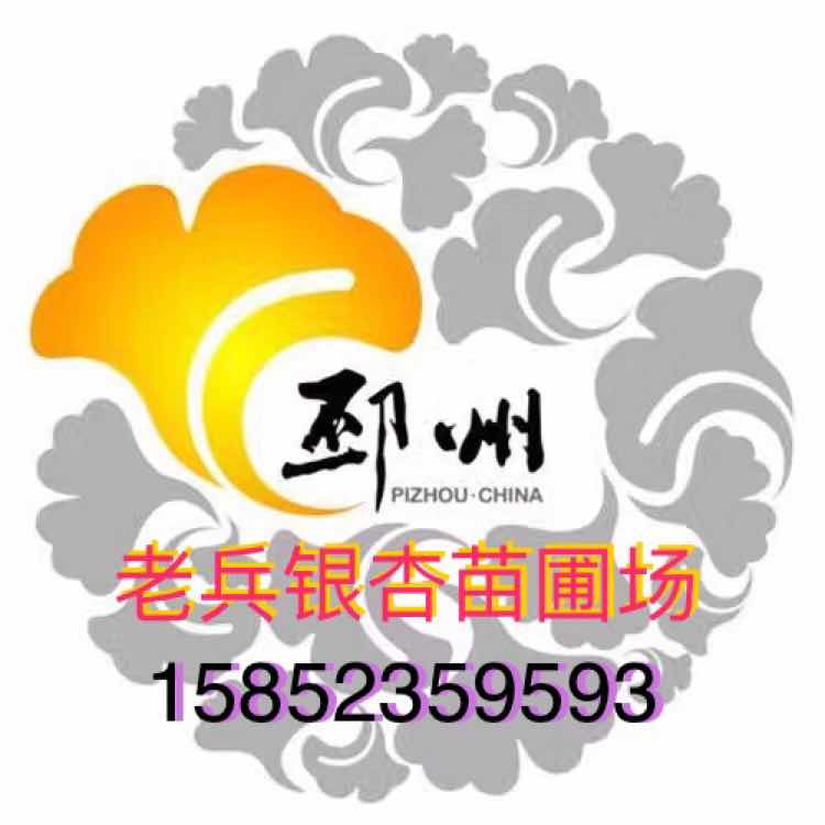 '张峰'头像