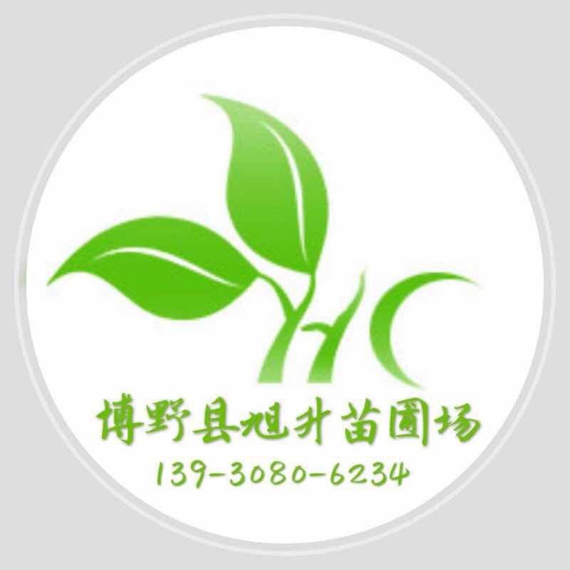'旭升苗圃'头像