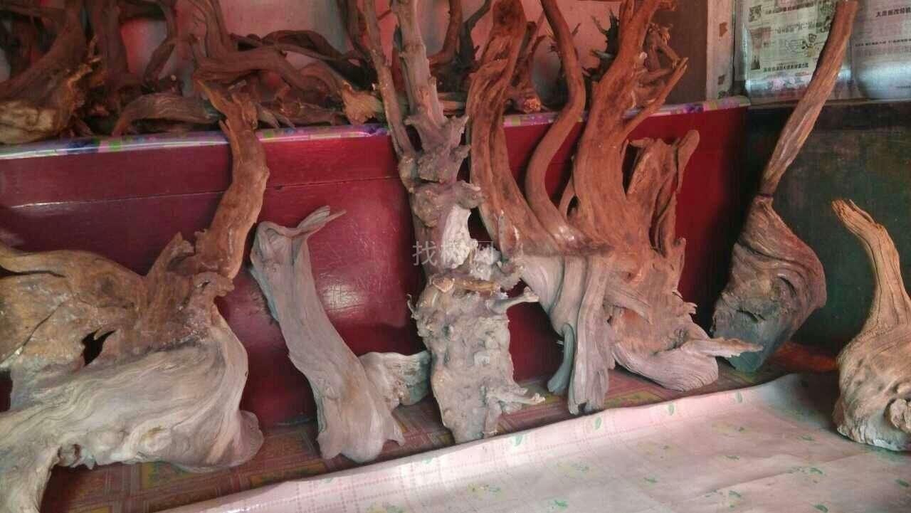 精品崖柏毛料