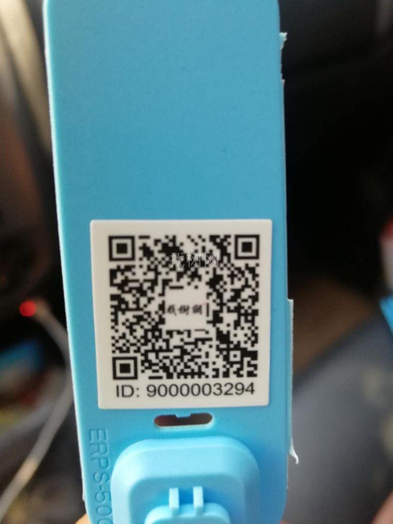 绿叶复叶槭