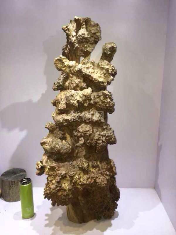 极品崖柏